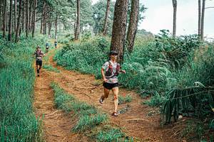 BIB: 
                            <button type="button" onclick="openModal(25658481)" class="btn btn-primary btn-sm float-right btn-popup" data-toggle="modal" data-target=".modal-high-quality">
                        <i class="fas fa-shopping-cart"></i> Add to Cart
                    </button>
                                            <button type="button" onclick="isThisMe(25658481, true)" class="btn btn-success btn-sm float-right btn-popup btn-isme hidden" data-toggle="tooltip" data-placement="bottom" title="นี่คือรูปของคุณใช่ไหม คลิกที่นี่เพื่อเอาเข้าอัลบั้ม">
                        <i class="fas fa-plus"></i> Add to album
                    </button>
                    <button type="button" onclick="isThisMe(25658481, false)" class="btn btn-warning btn-sm float-right btn-popup btn-isnotme hidden">
                        <i class="fas fa-ban"></i> Remove from album
                    </button>